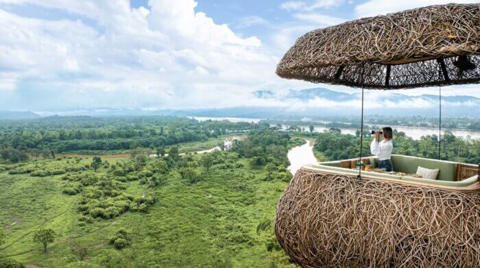 LIV_2024-LIV-Eating Space-Architectural Design of the Year-Canopy-A treetop dining experience